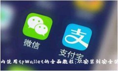 国内使用tpWallet的全面教程