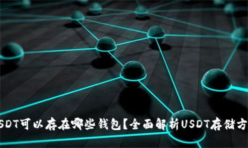 USDT可以存在哪些钱包？全面解析USDT存储方式