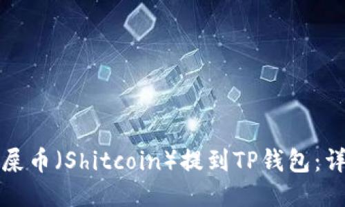 如何将屎币（Shitcoin）提到TP钱包：详细指南