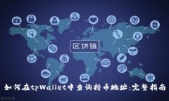 如何在tpWallet中查询持币地址：完整指南