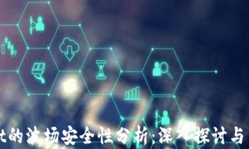 
tpWallet的波场安全性分析：深入探讨与用户指南