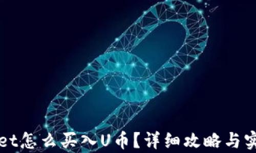 
tpWallet怎么买入U币？详细攻略与实操指南