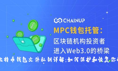 早期比特币钱包文件私钥详解：如何保护和恢复你的资产