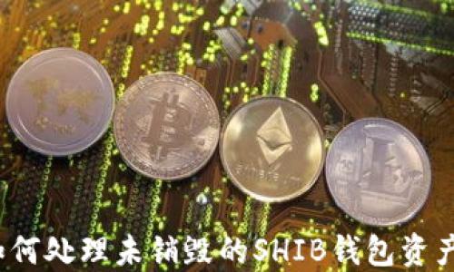 
如何处理未销毁的SHIB钱包资产？