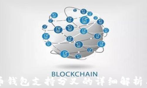 
比特币钱包支持分叉的详细解析与推荐