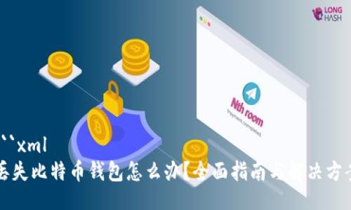 ```xml
丢失比特币钱包怎么办？全面指南与解决方案