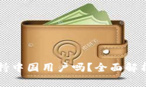 tpWallet支持中国用户吗？全面解析与使用指南