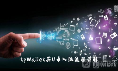 tpWallet买U币入池流程详解