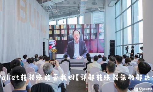 tpWallet转错账能否找回？详解转账错误的解决方案