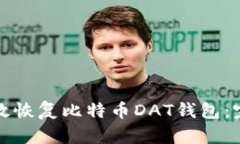 如何有效恢复比特币DAT钱包：完整指南