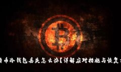 比特币冷钱包丢失怎么办？详解应对措施与恢复