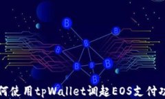 如何使用tpWallet调起EOS支付