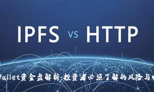 tpWallet资金盘解析：投资者必须了解的风险与回报
