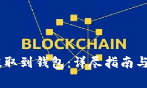 如何将USDT提取到钱包：详尽指南与常见问题解答