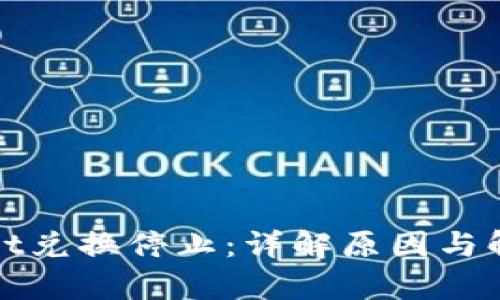tpWallet兑换停止：详解原因与解决方案
