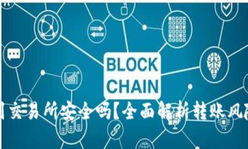 tpWallet转到交易所安全吗？全面解析转账风险与保障措施