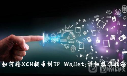 如何将XCH提币到TP Wallet：详细操作指南