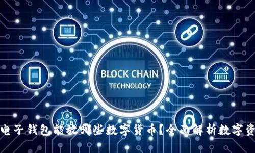 比特币电子钱包能放哪些数字货币？全面解析数字资产存储