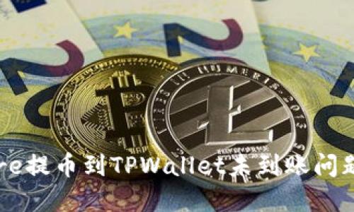如何解决Core提币到TPWallet未到账问题的详细指南