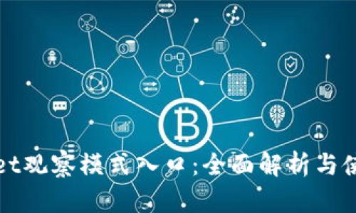 tpWallet观察模式入口：全面解析与使用指南