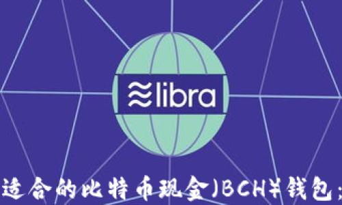 
如何选择适合的比特币现金（BCH）钱包：全面指南