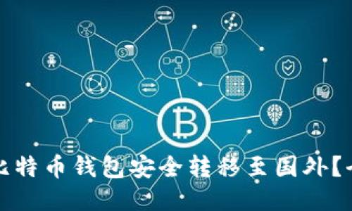 如何将比特币钱包安全转移至国外？全面指南