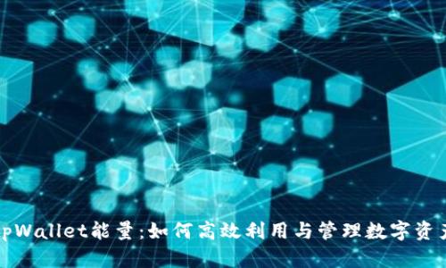 tpWallet能量：如何高效利用与管理数字资产