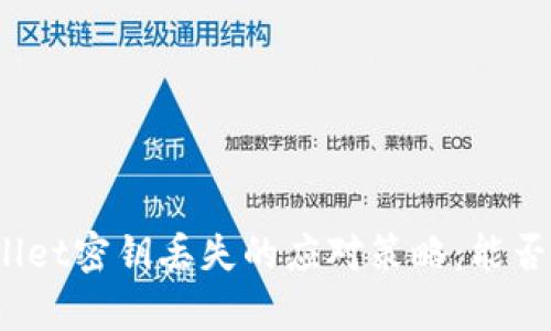 tpWallet密钥丢失的应对策略：能否找回?