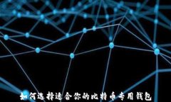 如何选择适合你的比特币