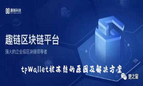 tpWallet被冻结的原因及解决方案