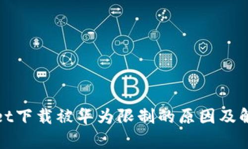 tpWallet下载被华为限制的原因及解决方案