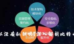 比特币钱包可以没有私钥