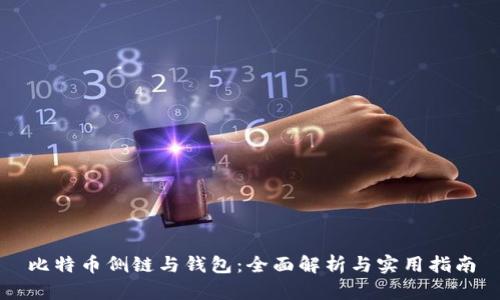 比特币侧链与钱包:全面解析与实用指南