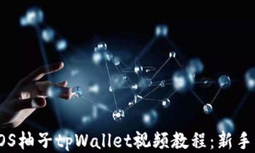 
如何下载EOS柚子tpWallet视频教程：新手指南与技巧