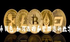 瑞波币钱包：如何选择和