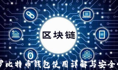 
马夫罗比特币钱包使用详解与安全性分析