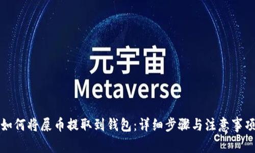 如何将屎币提取到钱包：详细步骤与注意事项