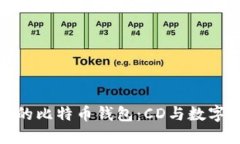如何选择适合你的比特币