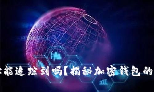 tpWallet地址能追踪到吗？揭秘加密钱包的隐私与安全性