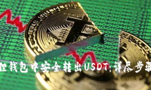 如何在小狐狸钱包中安全转出USDT：详尽步骤与注意事项