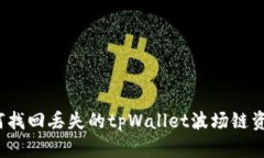如何找回丢失的tpWallet波场