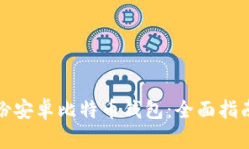 如何安全备份安卓比特币钱包：全面指南与实用技巧