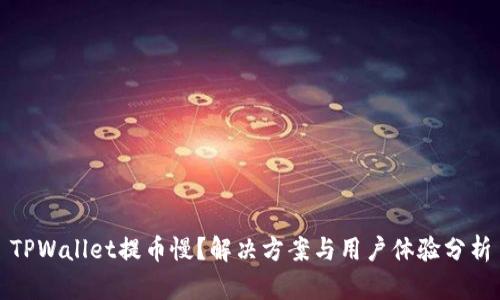 TPWallet提币慢？解决方案与用户体验分析