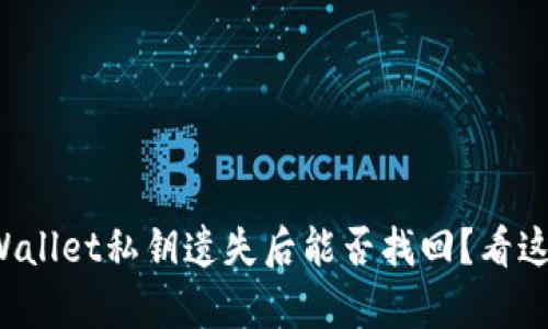 tpWallet私钥遗失后能否找回？看这里！