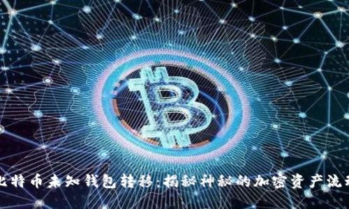 比特币未知钱包转移：揭秘神秘的加密资产流动