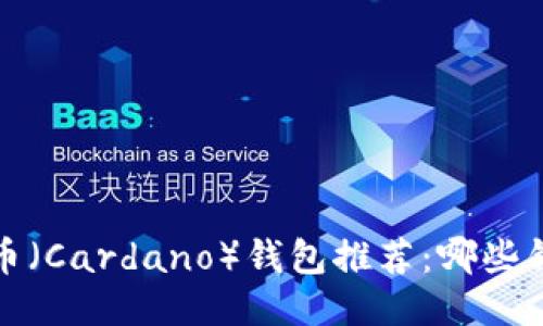 2023年最佳艾达币（Cardano）钱包推荐：哪些钱包能收发艾达币？