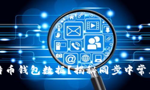 如何快速同步比特币钱包数据？揭秘同步中常见问题与解决方案