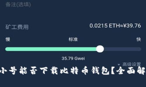 非小号能否下载比特币钱包？全面解析！