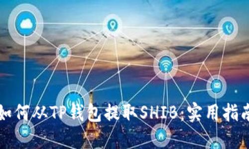如何从TP钱包提取SHIB：实用指南