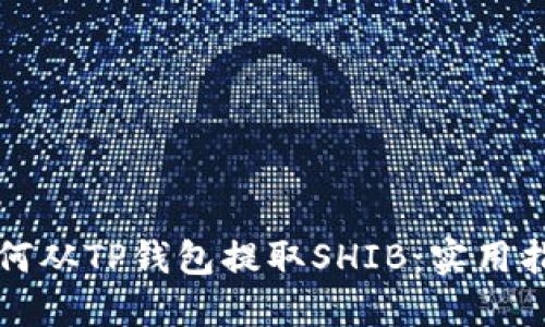 如何从TP钱包提取SHIB：实用指南